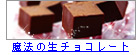 �_�˖��@�̐��`���R���[�g