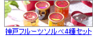 神戸フルーツソルベ4種セット