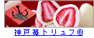 _䕃gt(R)