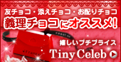 神戸タイニーセレブBAG