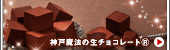 _˖@̐`R[g®()