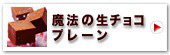 _˖@̐`R[g®Ev[