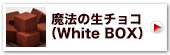 神戸魔法の生チョコレートR・プレーン(白箱)