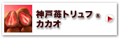 神戸苺トリュフR・カカオ