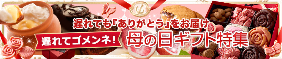 母の日贈るプレゼント・ギフトは神戸フランツのスイーツで